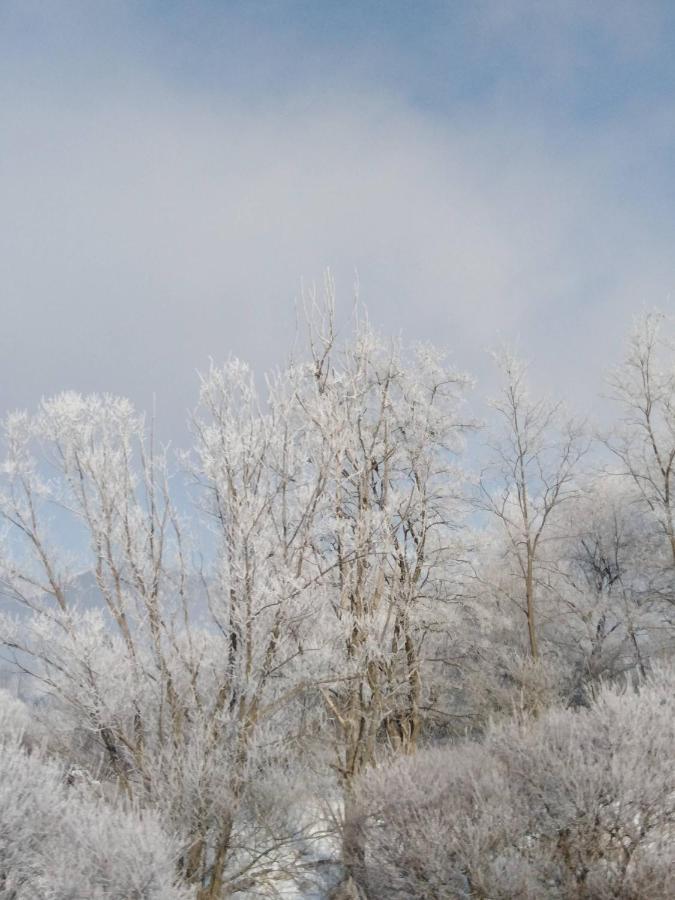 Chata Holica Pieniny Lesnica Eksteriør bilde