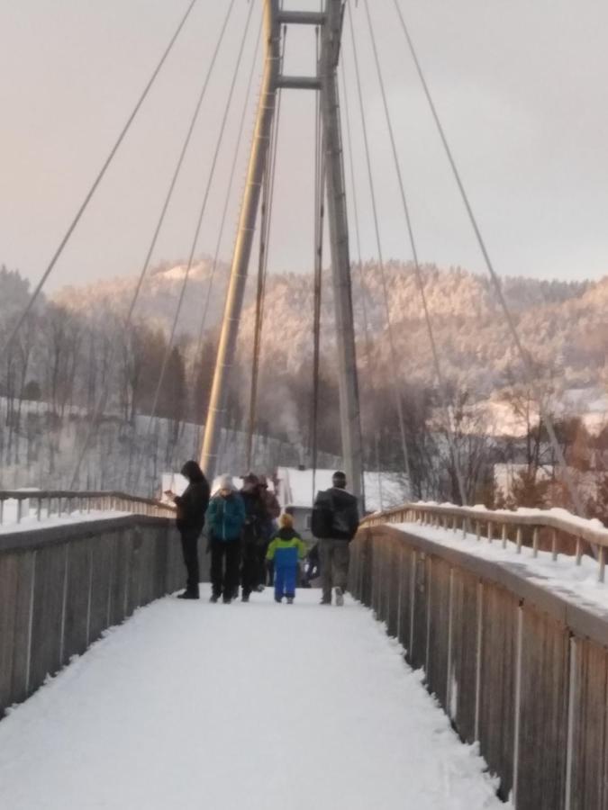 Chata Holica Pieniny Lesnica Eksteriør bilde