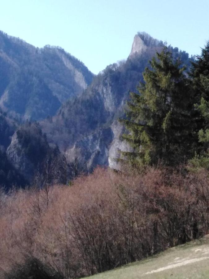 Chata Holica Pieniny Lesnica Eksteriør bilde
