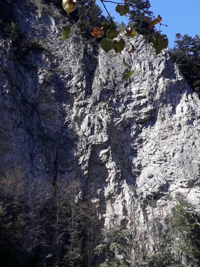 Chata Holica Pieniny Lesnica Eksteriør bilde
