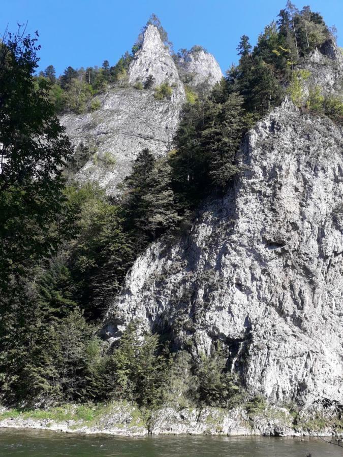 Chata Holica Pieniny Lesnica Eksteriør bilde