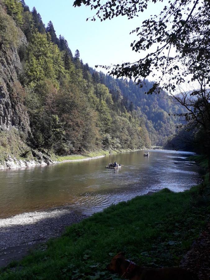 Chata Holica Pieniny Lesnica Eksteriør bilde