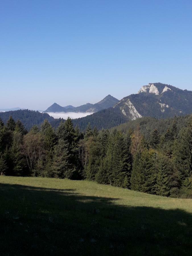 Chata Holica Pieniny Lesnica Eksteriør bilde
