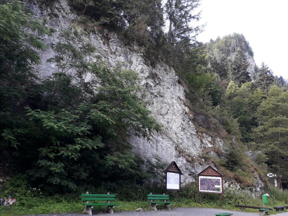 Chata Holica Pieniny Lesnica Eksteriør bilde