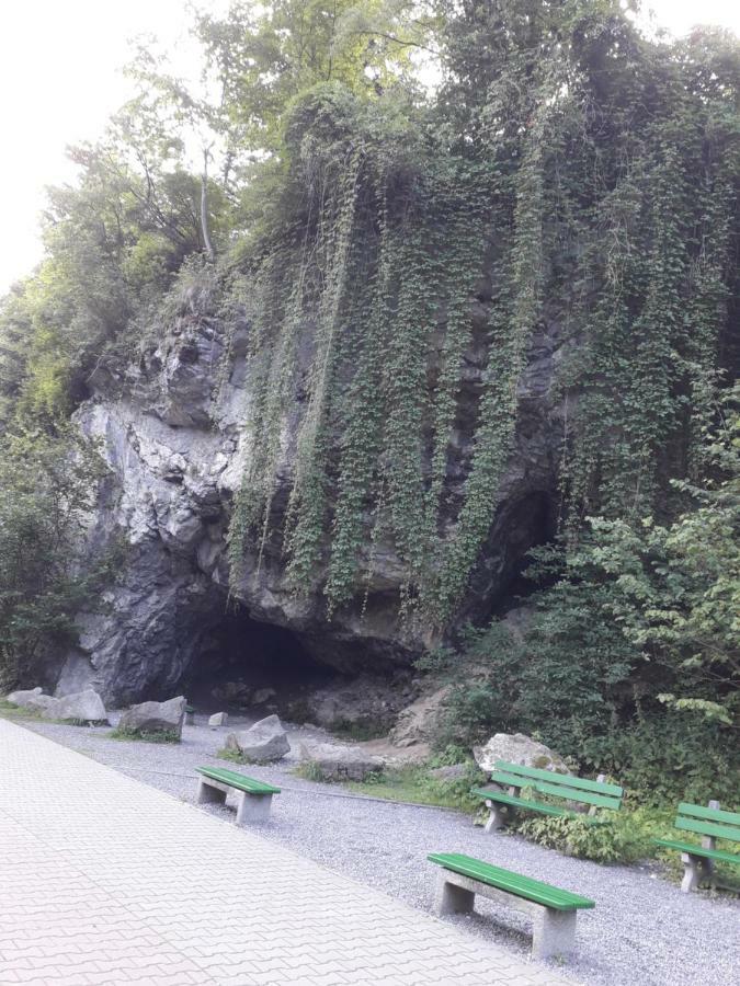 Chata Holica Pieniny Lesnica Eksteriør bilde