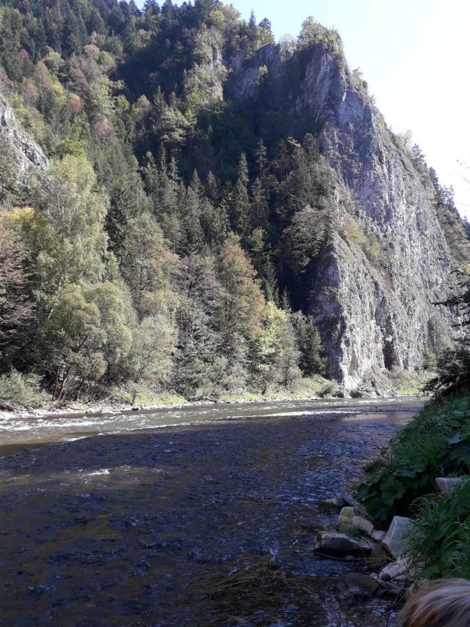 Chata Holica Pieniny Lesnica Eksteriør bilde