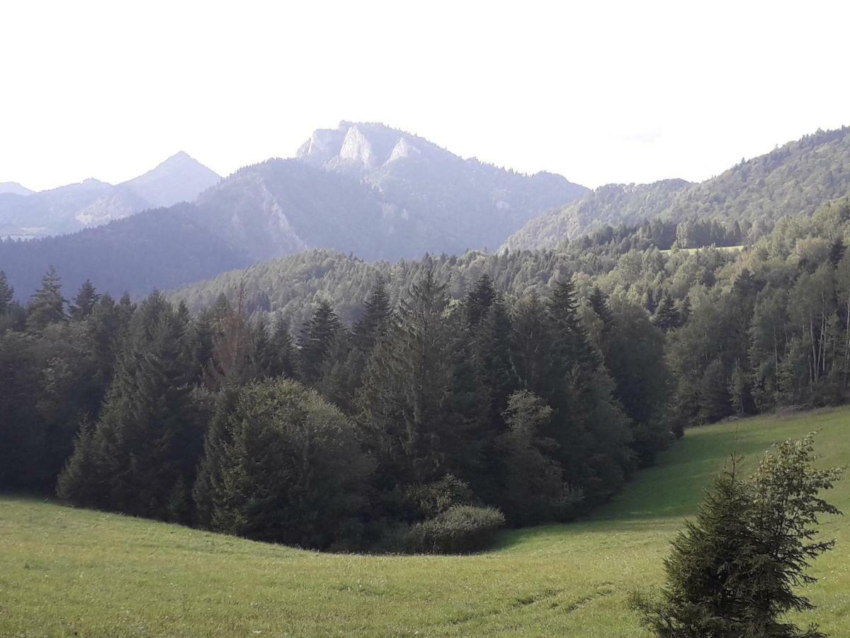 Chata Holica Pieniny Lesnica Eksteriør bilde